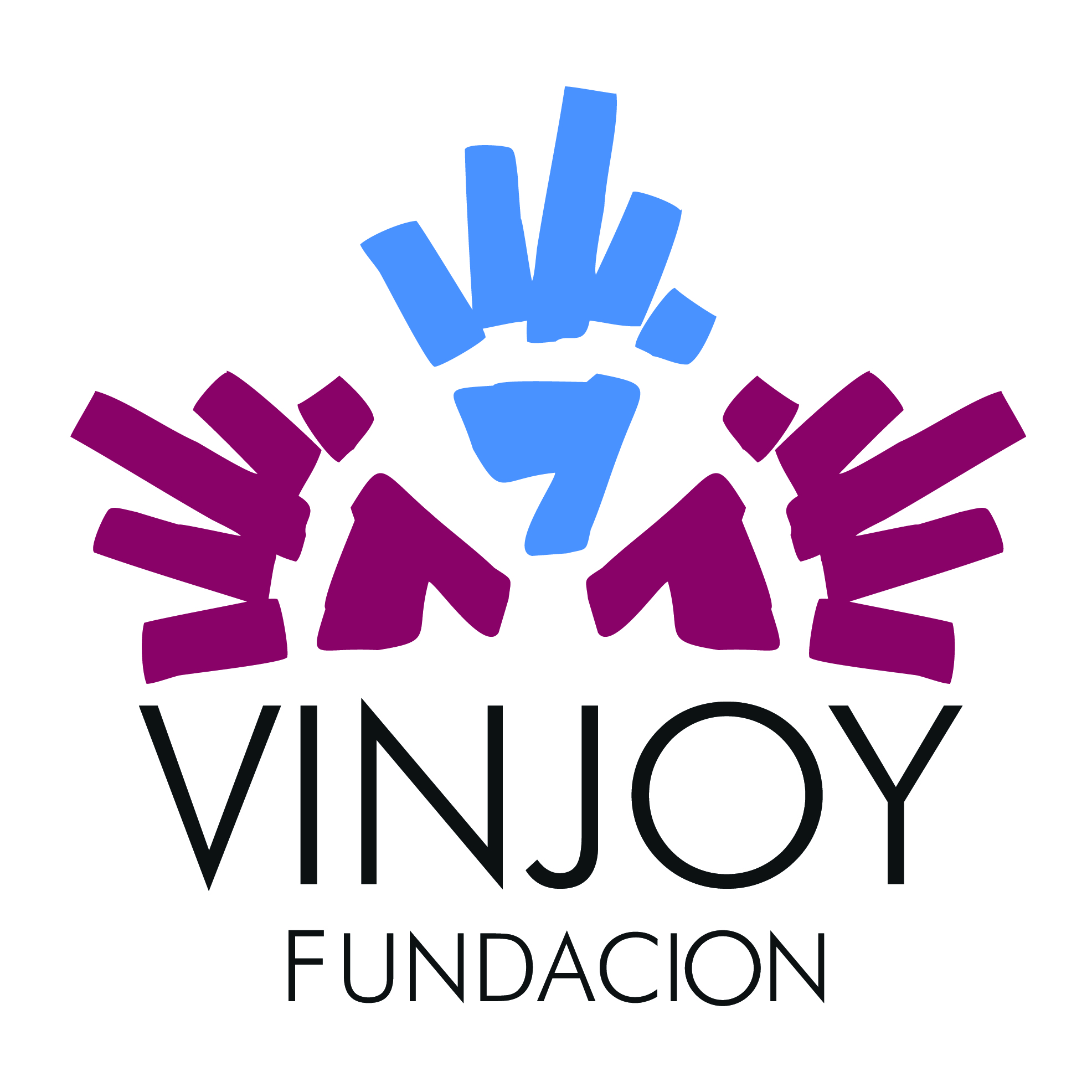 Fundación Vinjoy